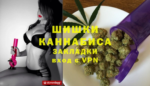 PSILOCYBIN Сафоново